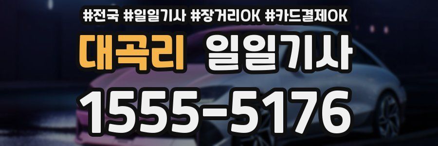 대곡리 일일기사