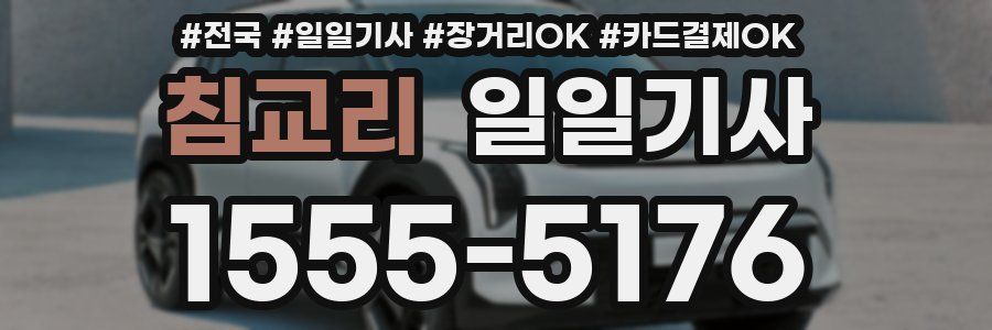 침교리 일일기사