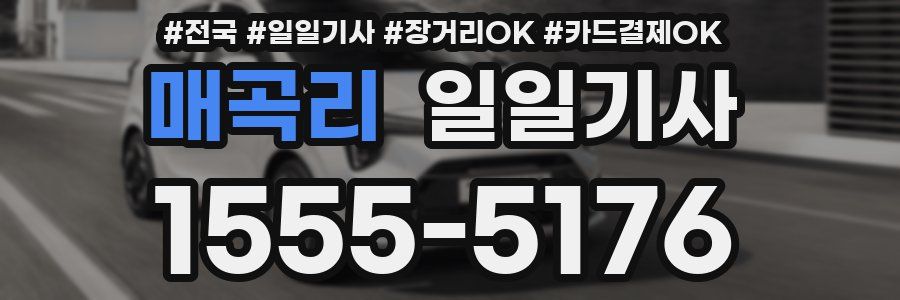 매곡리 일일기사