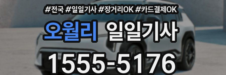 오월리 일일기사