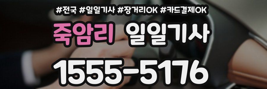 죽암리 일일기사