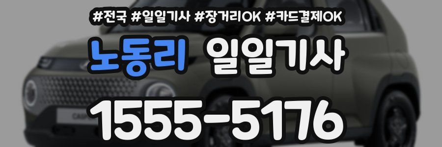 노동리 일일기사