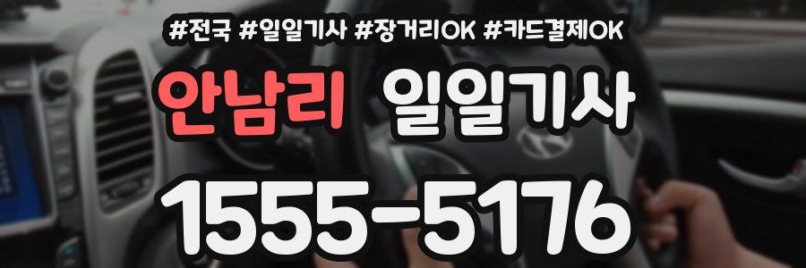 안남리 일일기사