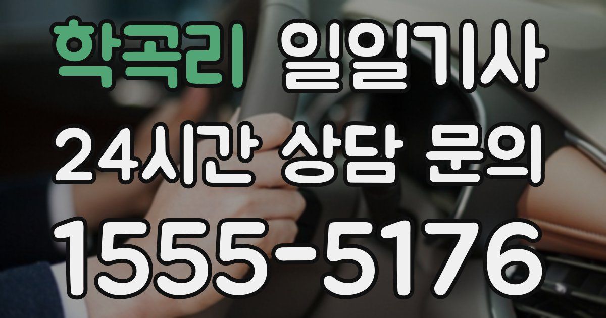 일일대리기사