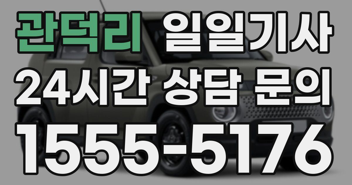 일일대리기사