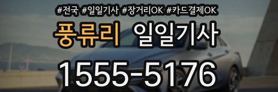 풍류리 일일기사