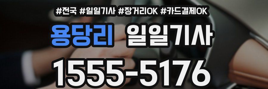 용당리 일일기사