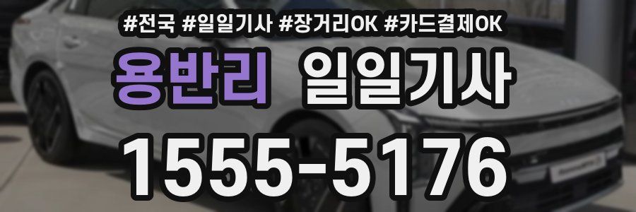 용반리 일일기사