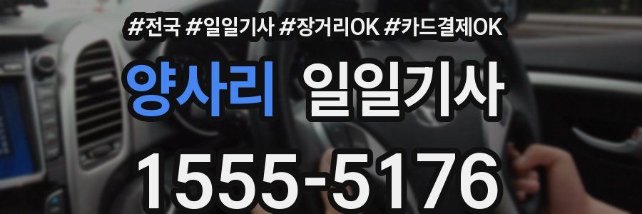 양사리 일일기사