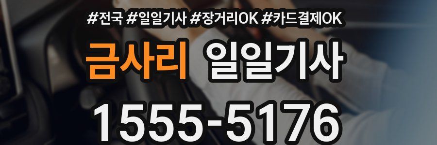 금사리 일일기사