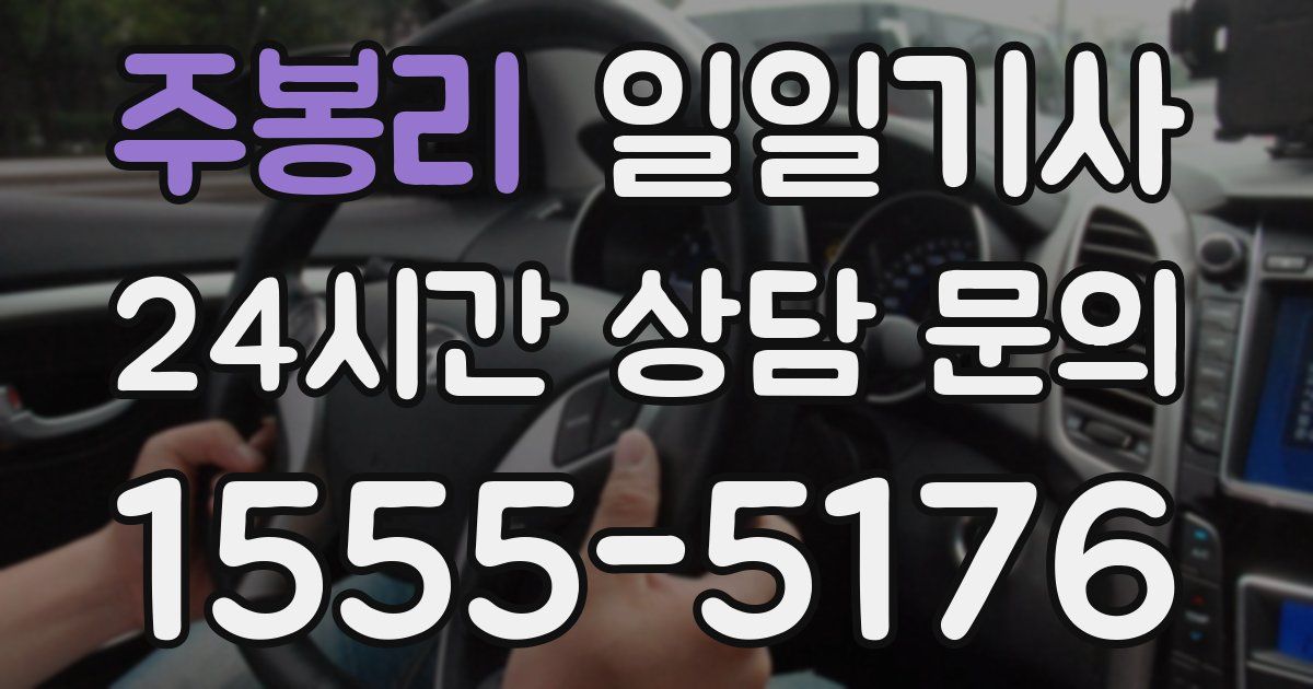 일일대리기사