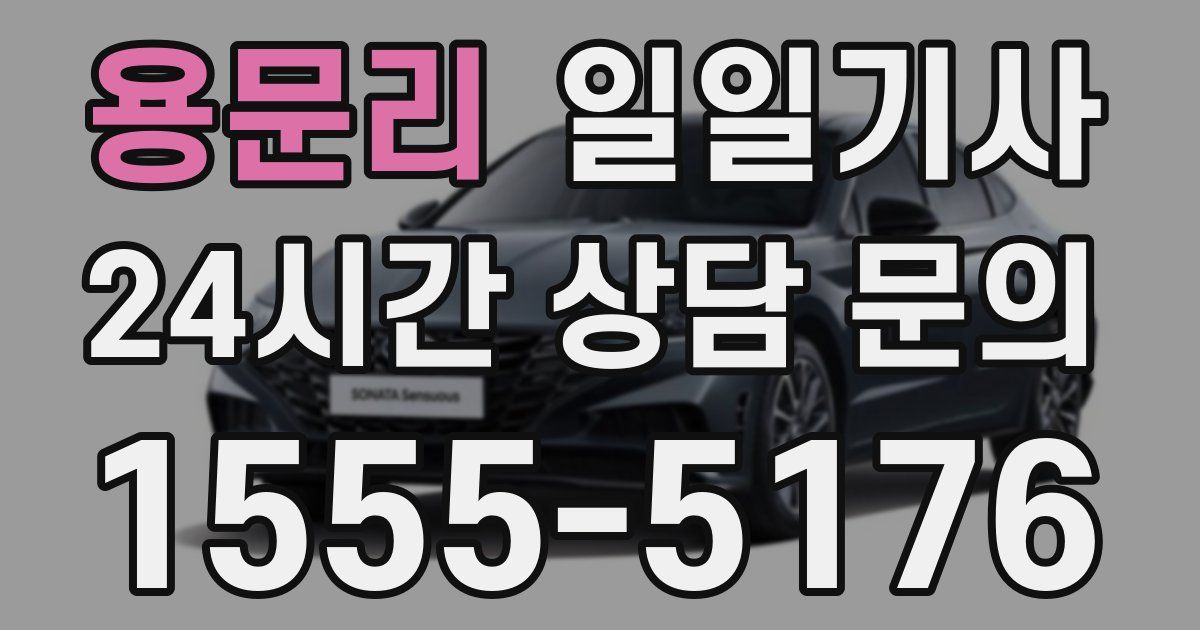 일일대리기사