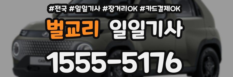 벌교리 일일기사