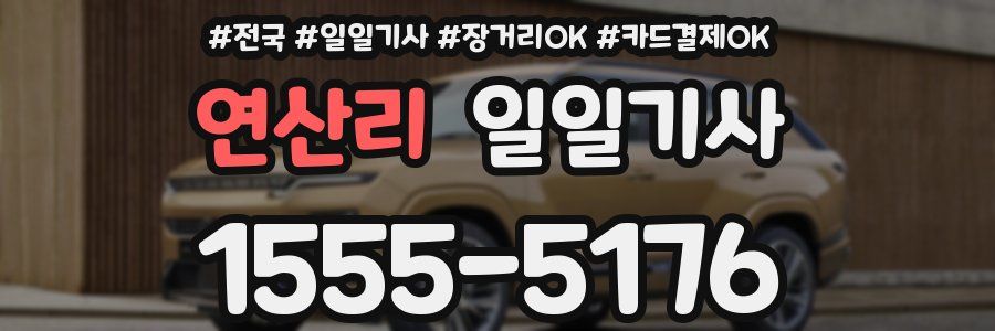 연산리 일일기사