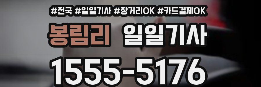 봉림리 일일기사