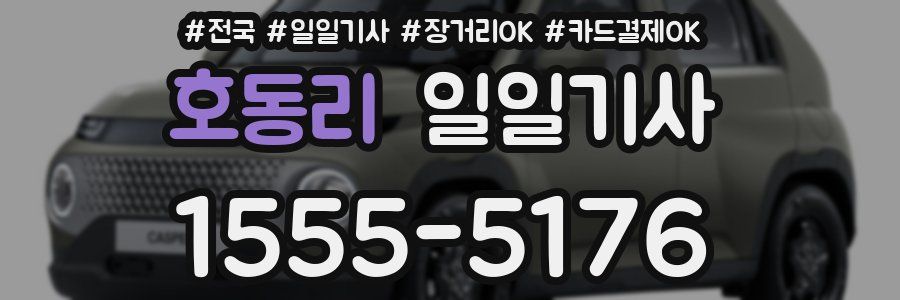 호동리 일일기사