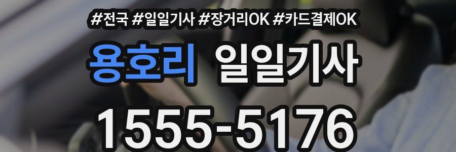 용호리 일일기사
