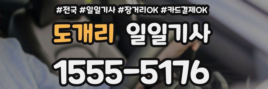 도개리 일일기사