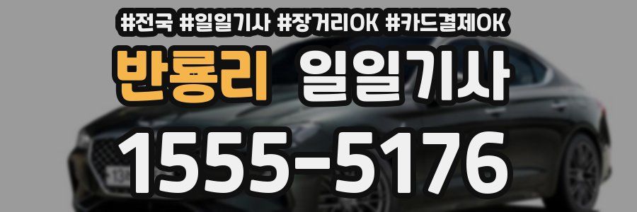 반룡리 일일기사