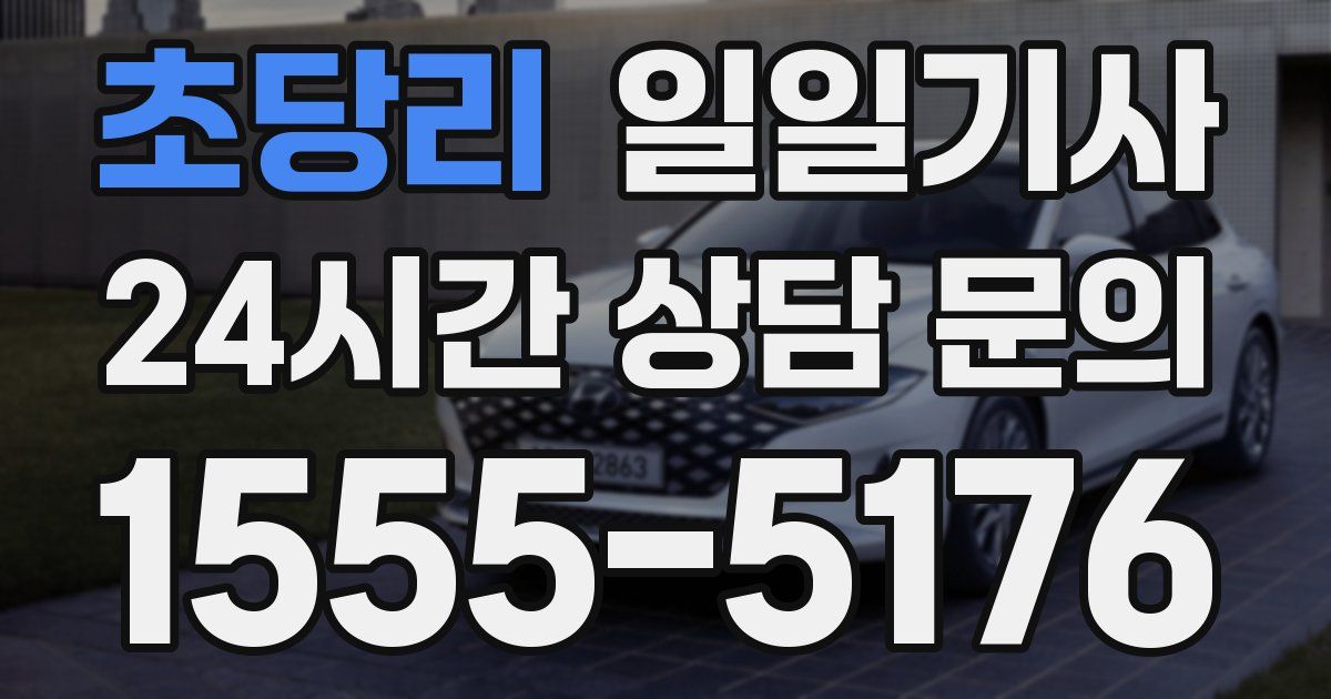 일일대리기사