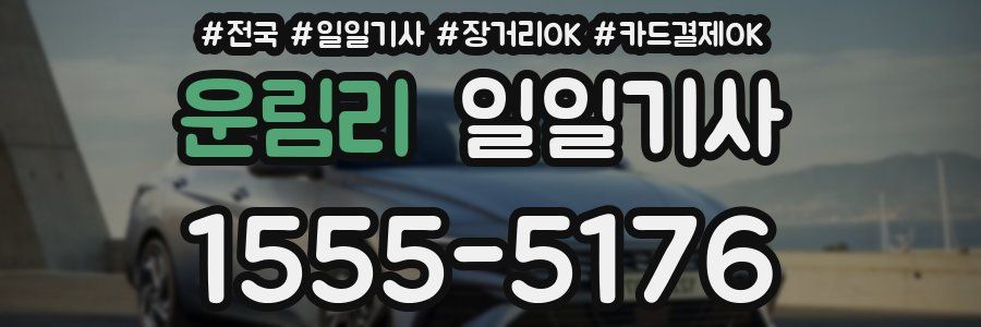 운림리 일일기사