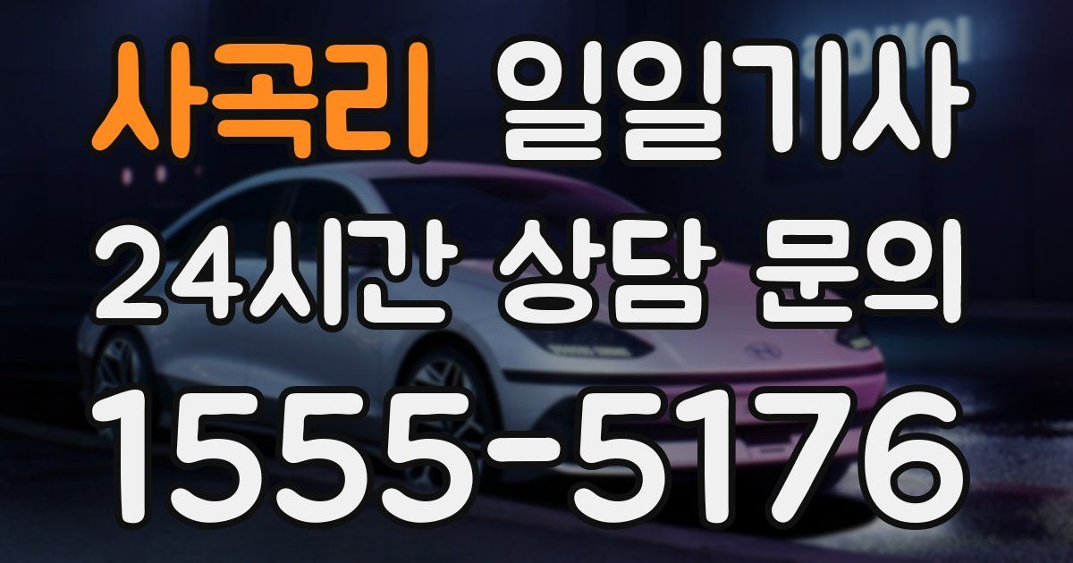 일일대리기사