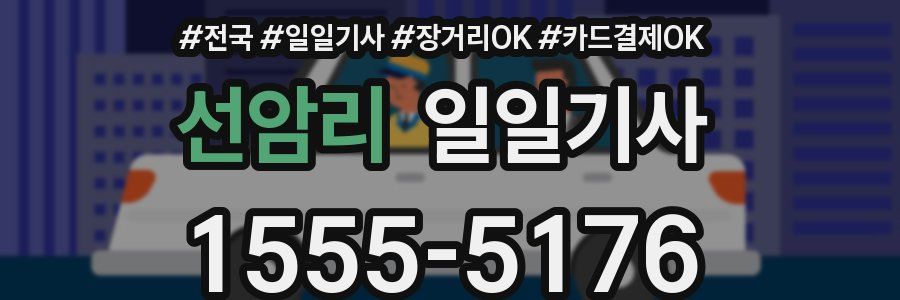 선암리 일일기사