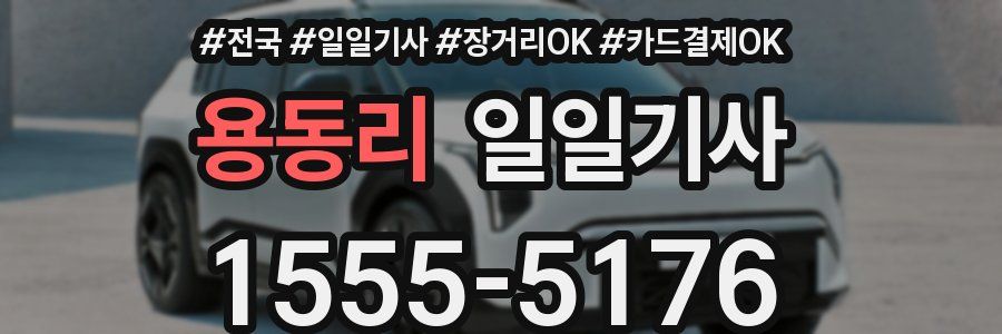 용동리 일일기사