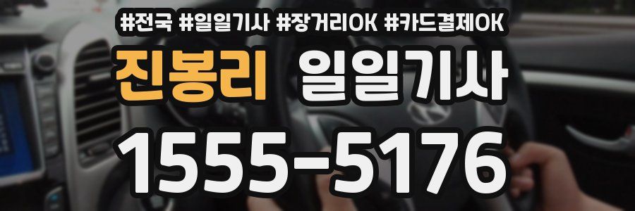 진봉리 일일기사