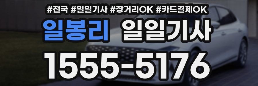 일봉리 일일기사
