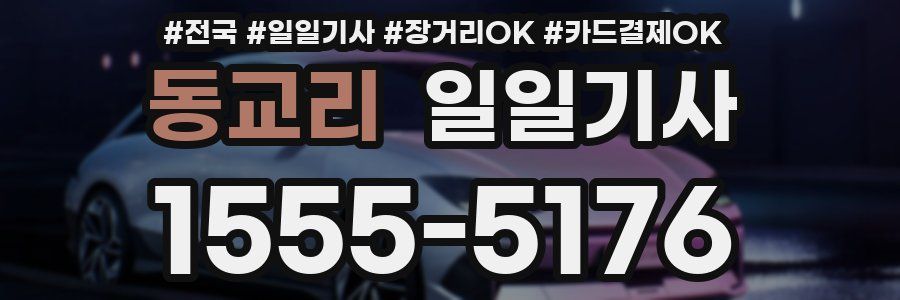 동교리 일일기사