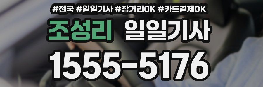 조성리 일일기사