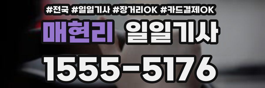 매현리 일일기사