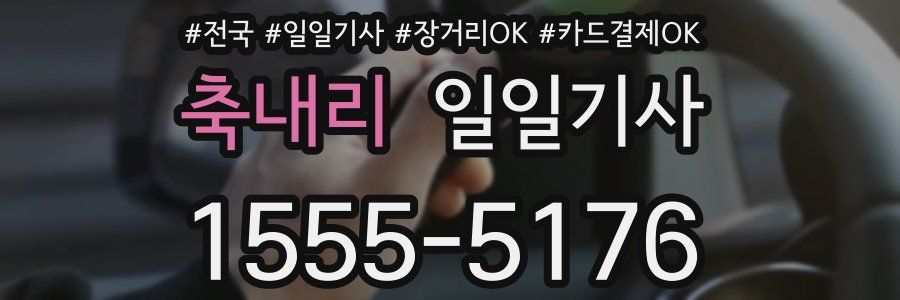 축내리 일일기사