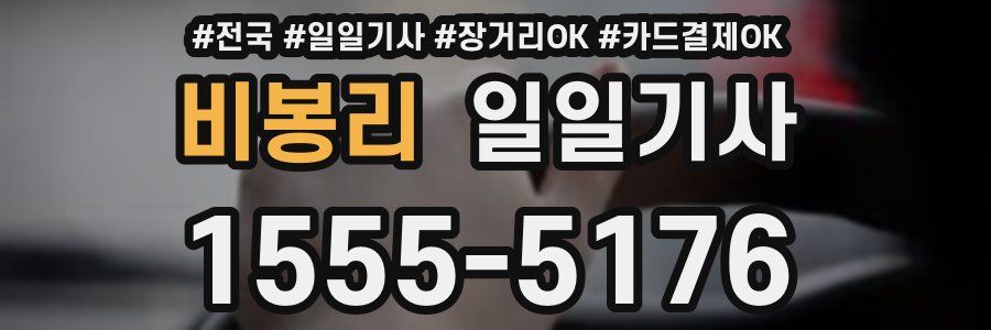 비봉리 일일기사