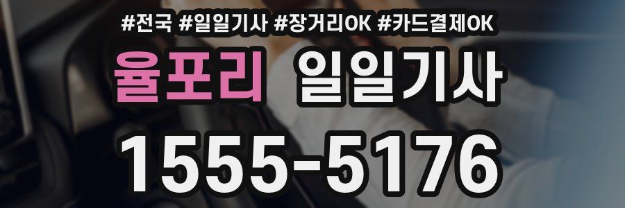 율포리 일일기사