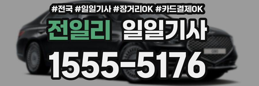 전일리 일일기사