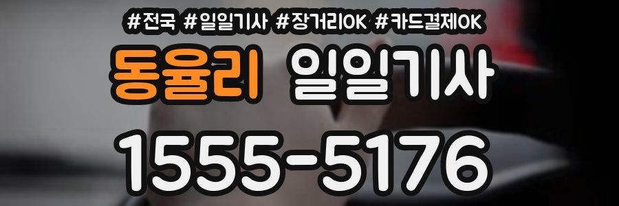 동율리 일일기사