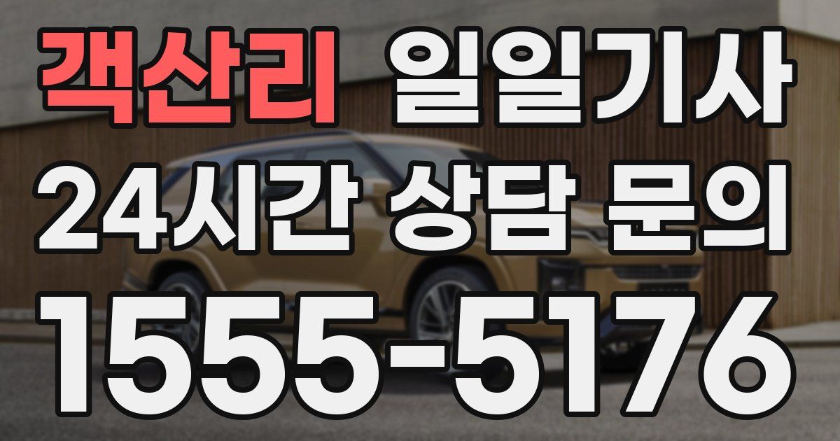일일대리기사