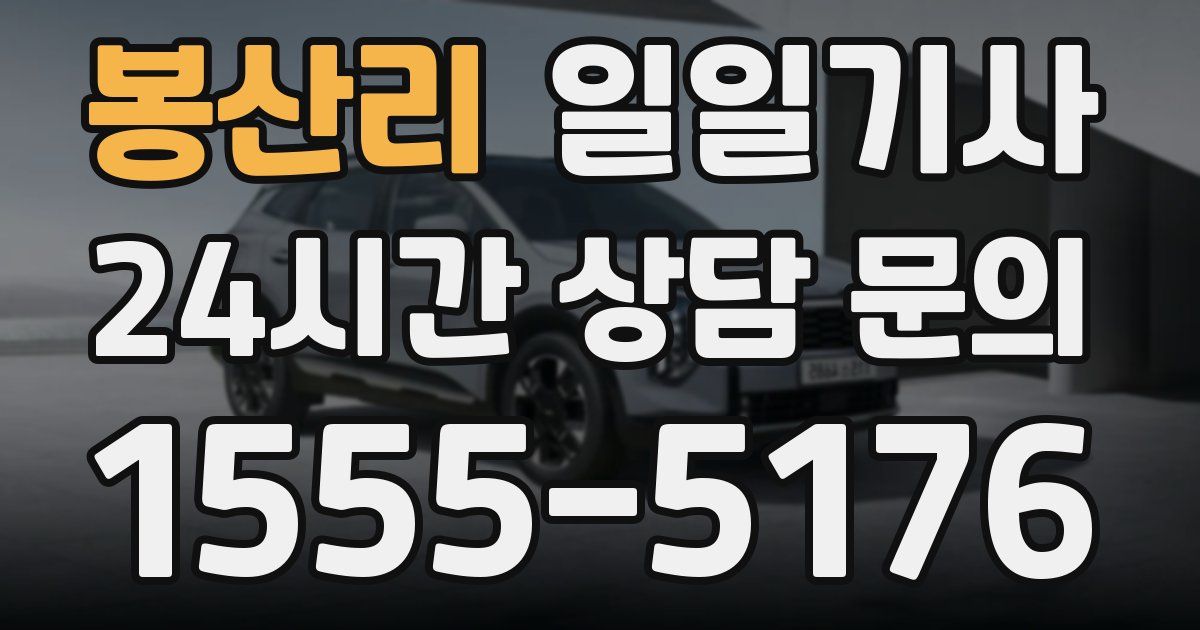 일일대리기사