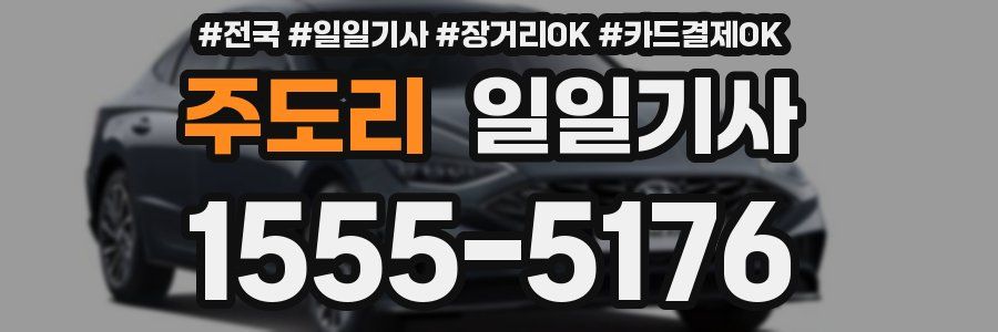 주도리 일일기사