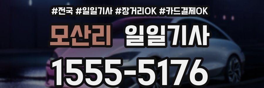 모산리 일일기사