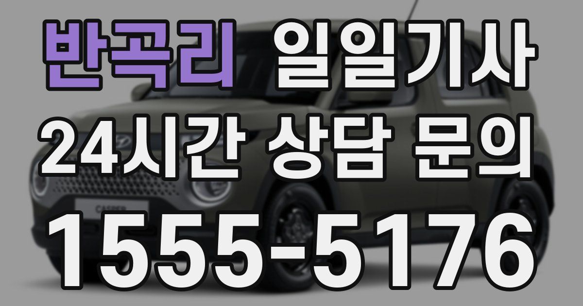 일일대리기사