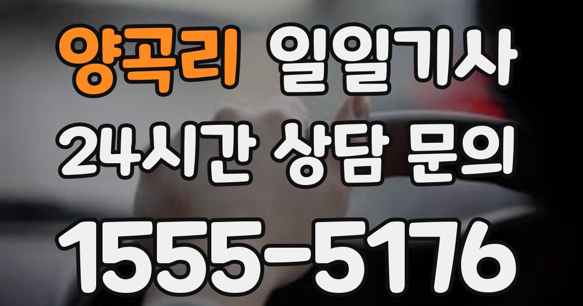 일일대리기사