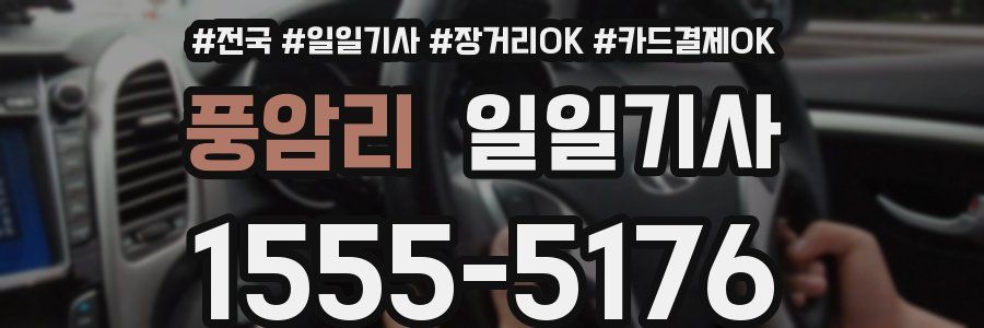 풍암리 일일기사