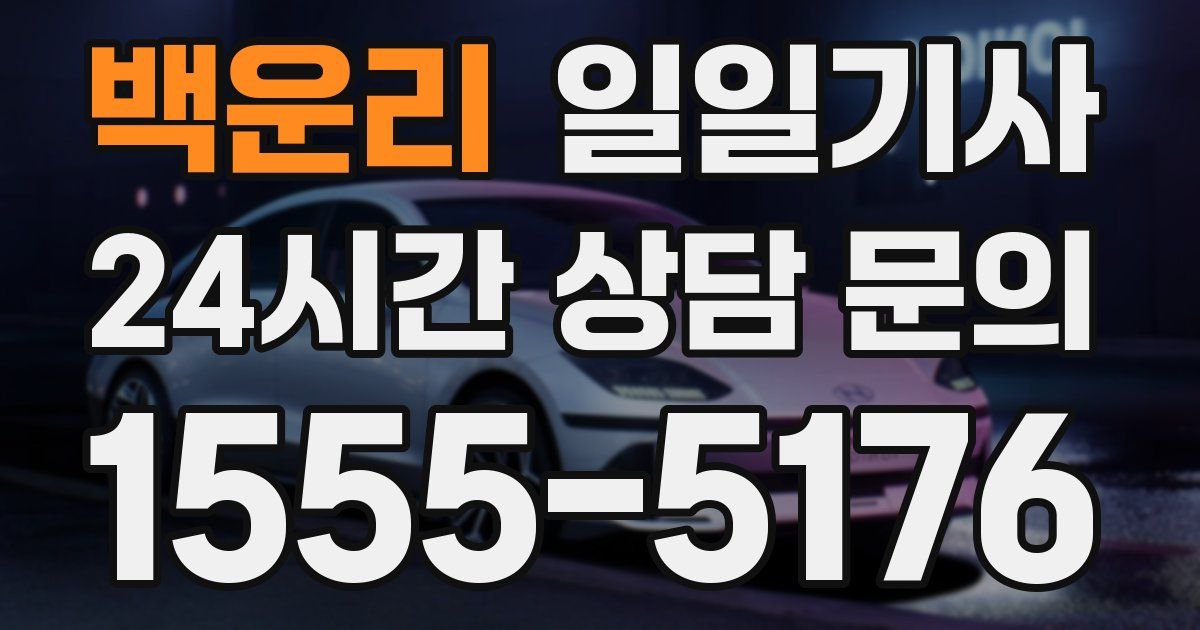 일일대리기사