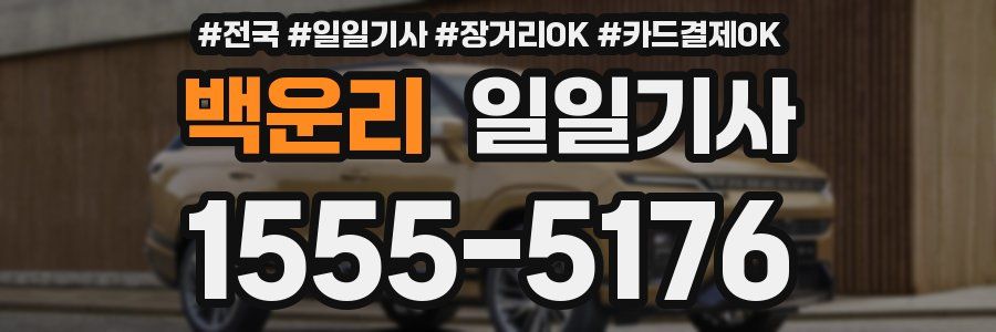 백운리 일일기사