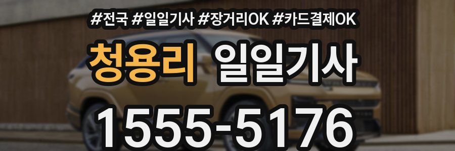 청용리 일일기사