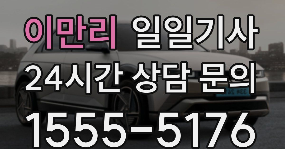 일일대리기사