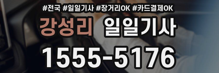 강성리 일일기사